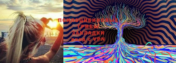 молекула духа Балабаново