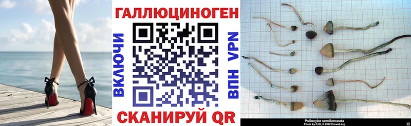 Псилоцибиновые грибы ЛСД Бикин