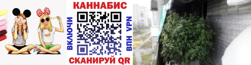 Бошки Шишки MAZAR Бикин
